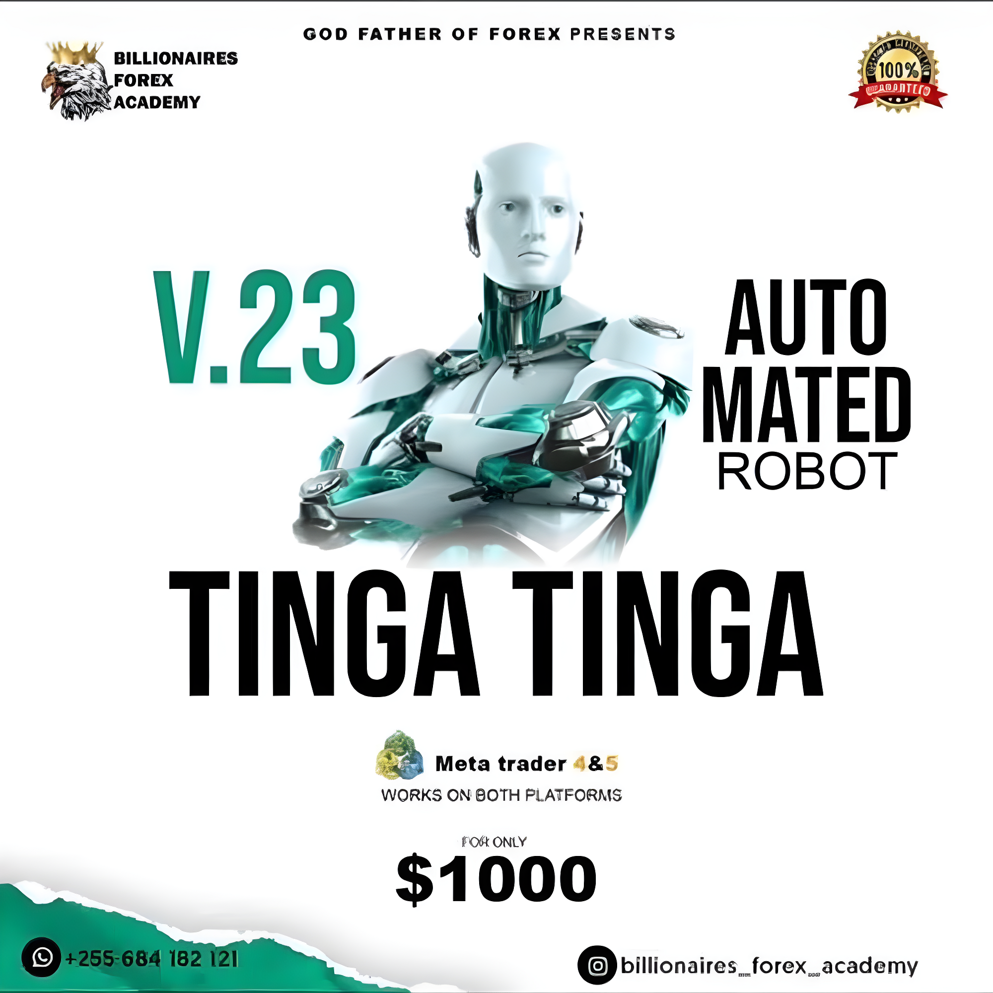 TINGA TINGA  EA MT4 Unlimited+Source Code +setfile(Original version)
